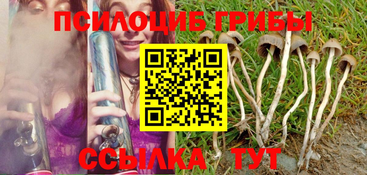 Галлюциногенные грибы прущие грибы  Псилоцибиновые грибы Psilocybine cubensis  Таганрог 