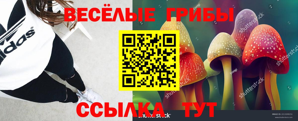 Псилоцибиновые грибы мухоморы  Вход с VPN  Галлюциногенные грибы Psilocybine cubensis  Таганрог 